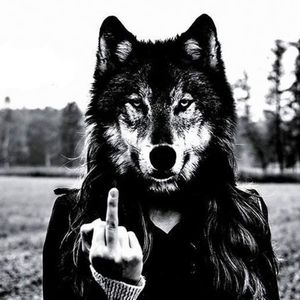 Meet your Posher, Savannah